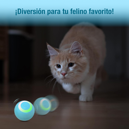 Playball for Cats™ Pelota interactiva para gatos